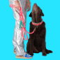 Preview: Dog with a Mission Leine Sugarbabe